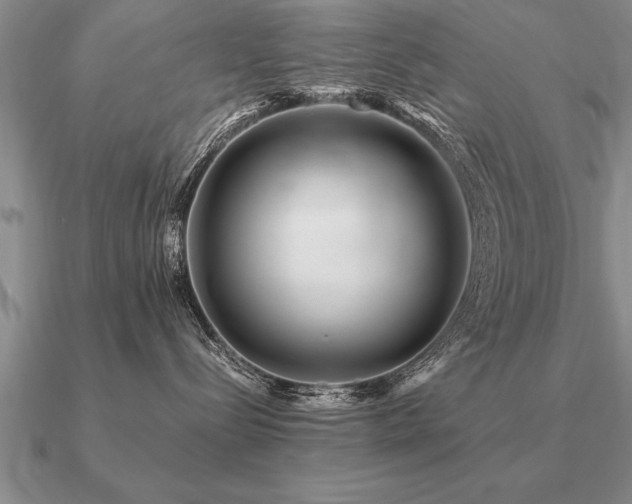 X0000091100288200708061426