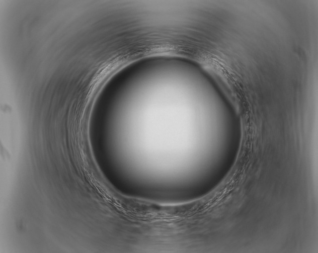 X0000091100289200708061425