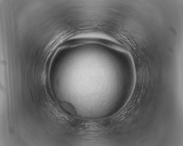 X0000091100290200708061425