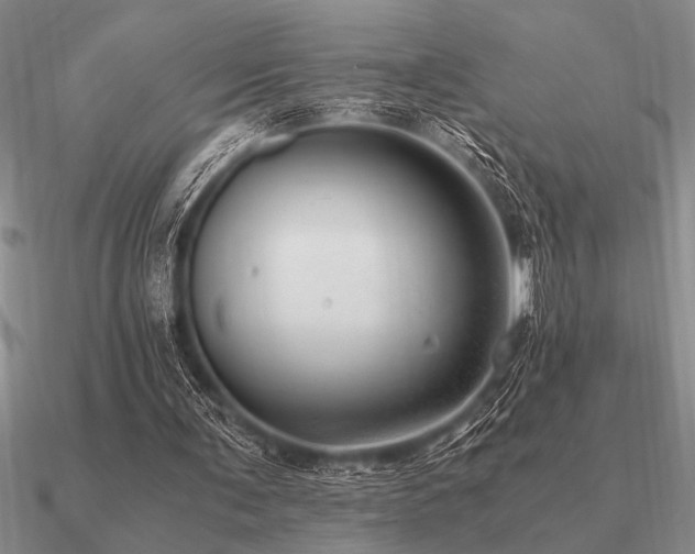 X0000091100291200708061425