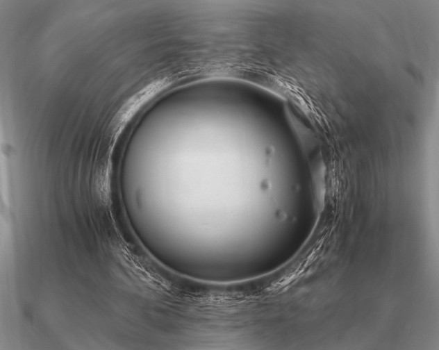 X0000091100292200708061425