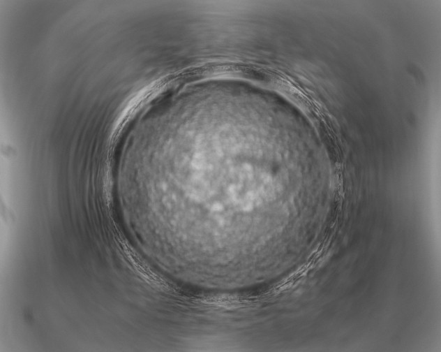 X0000091100293200708061425