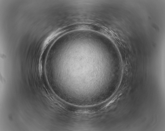 X0000091100294200708061425