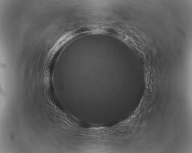 X0000091100295200708061425