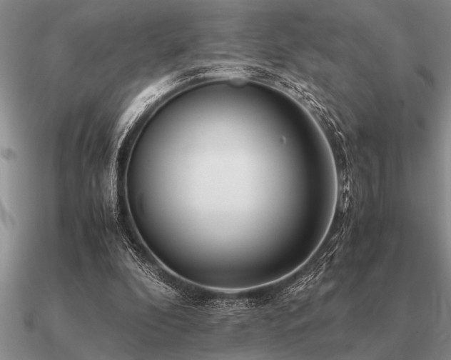 X0000091100296200708061425