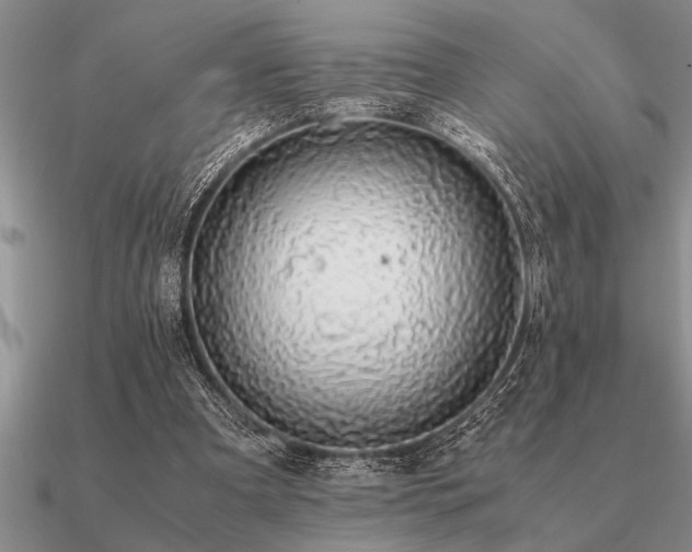 X0000091100297200708061425