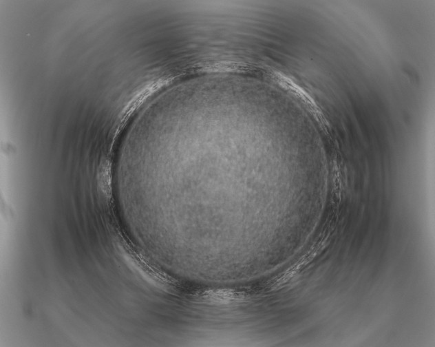 X0000091100298200708061425