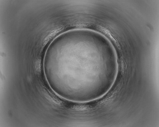 X0000091100299200708061425