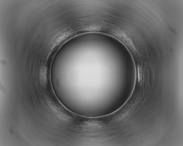 X0000091100300200708061425