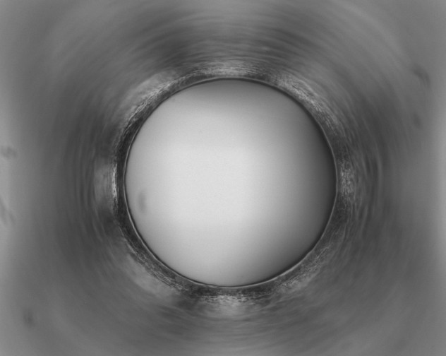 X0000091100302200708061425