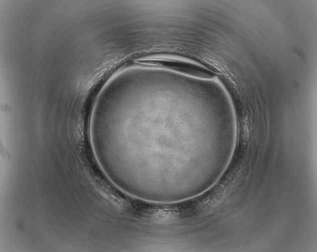 X0000091100303200708061425