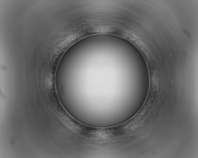 X0000091100305200708061425