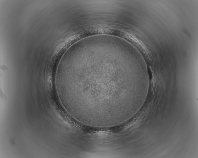 X0000091100306200708061425