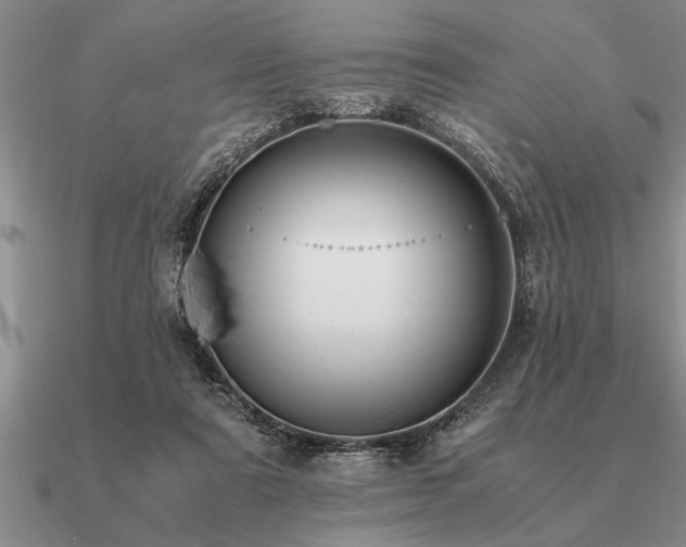 X0000091100307200708061425