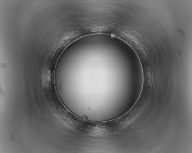 X0000091100308200708061425