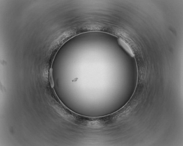 X0000091100309200708061425