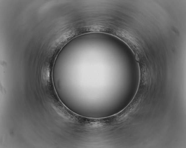 X0000091100310200708061425