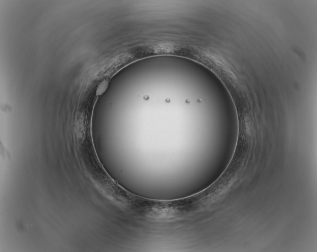 X0000091100311200708061425