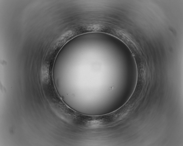 X0000091100312200708061425