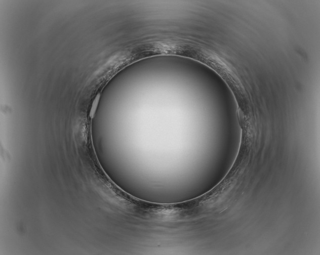 X0000091100313200708061425