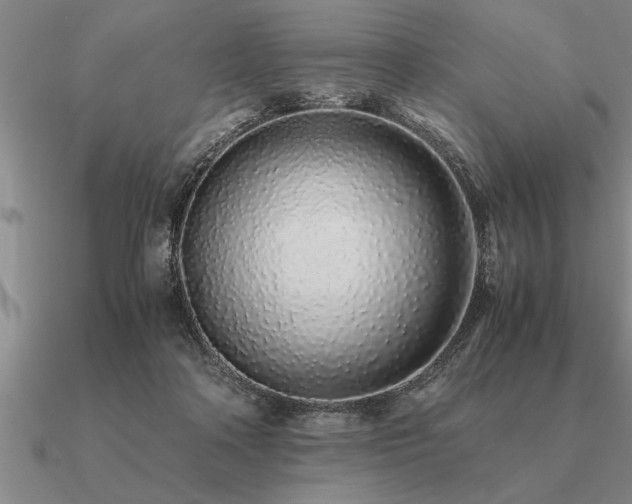 X0000091100314200708061425