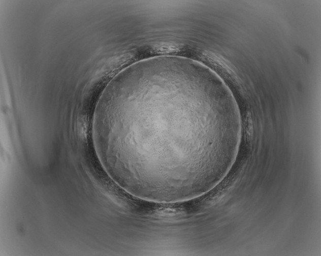 X0000091100315200708061425