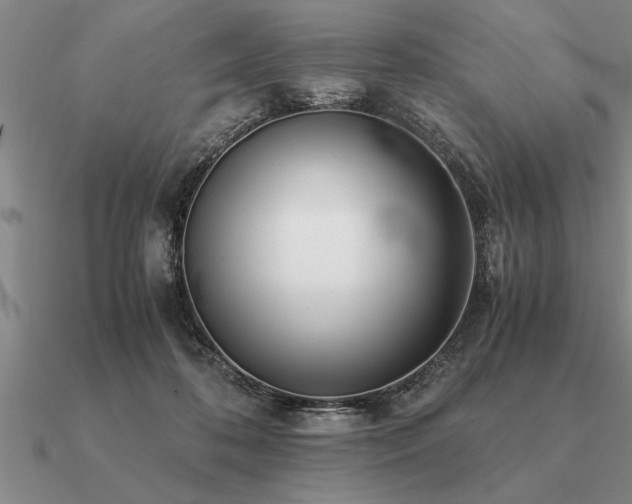 X0000091100316200708061425