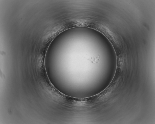 X0000091100318200708061425