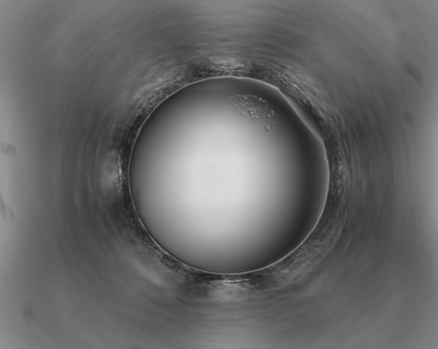 X0000091100320200708061425