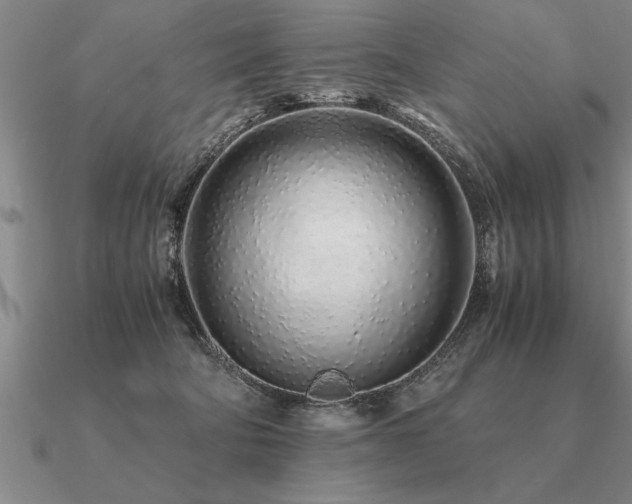 X0000091100322200708061425