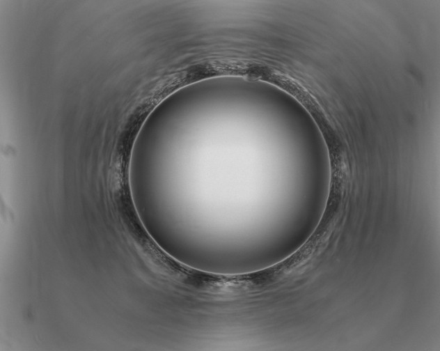 X0000091100323200708061425