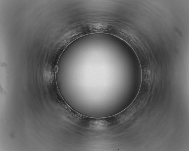 X0000091100324200708061425