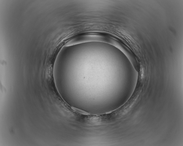 X0000091100325200708061425