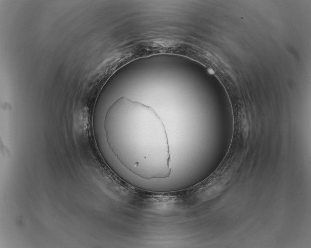 X0000091100328200708061425