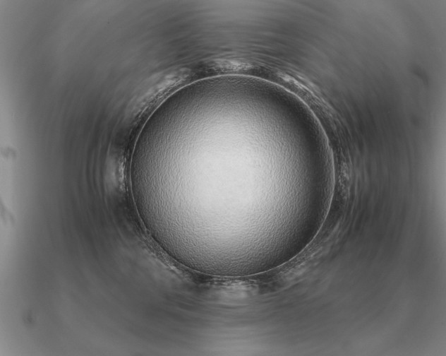 X0000091100330200708061425