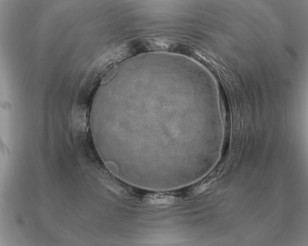 X0000091100331200708061425