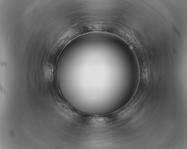 X0000091100332200708061425