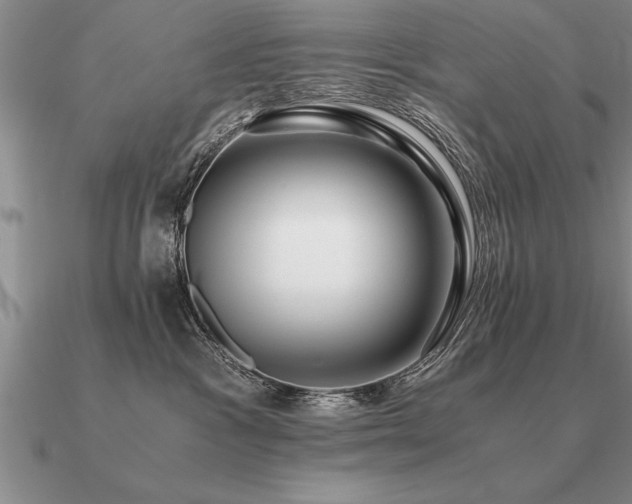 X0000091100333200708061425