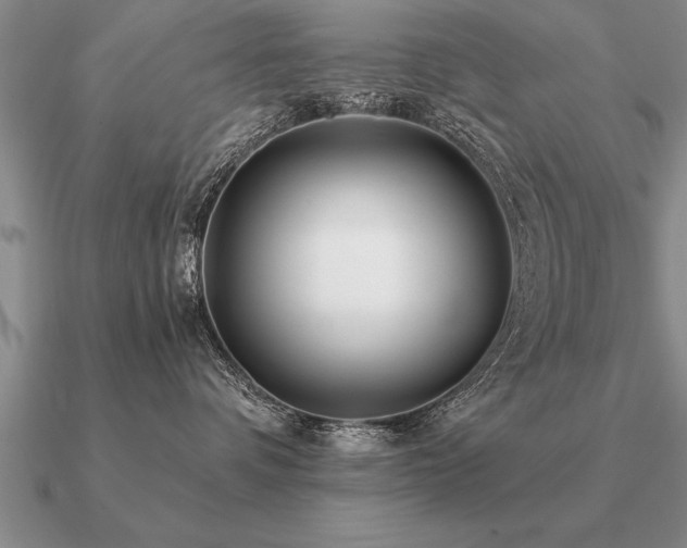 X0000091100336200708061425