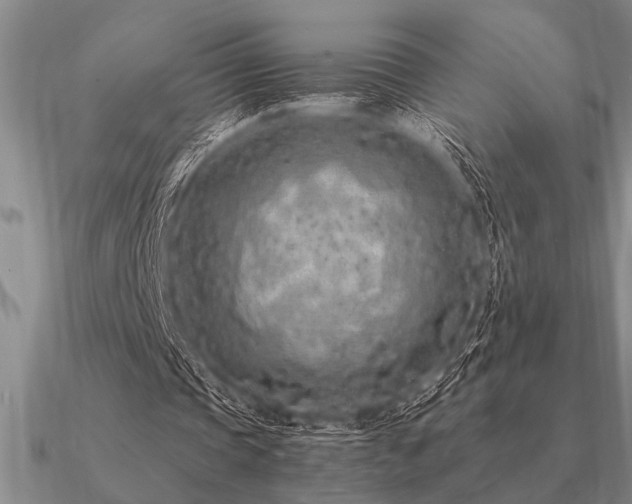 X0000091100337200708061424