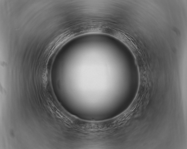 X0000091100338200708061424