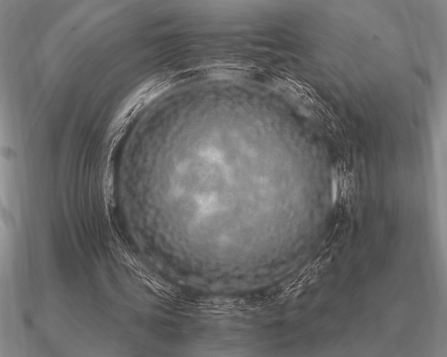 X0000091100339200708061424