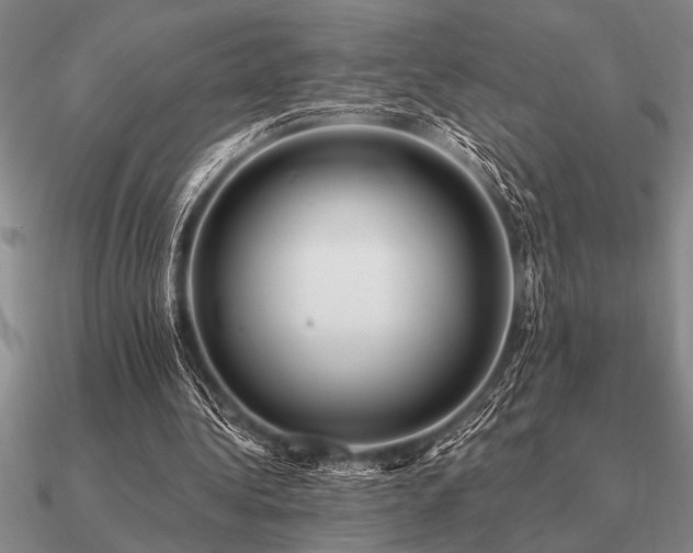 X0000091100340200708061424