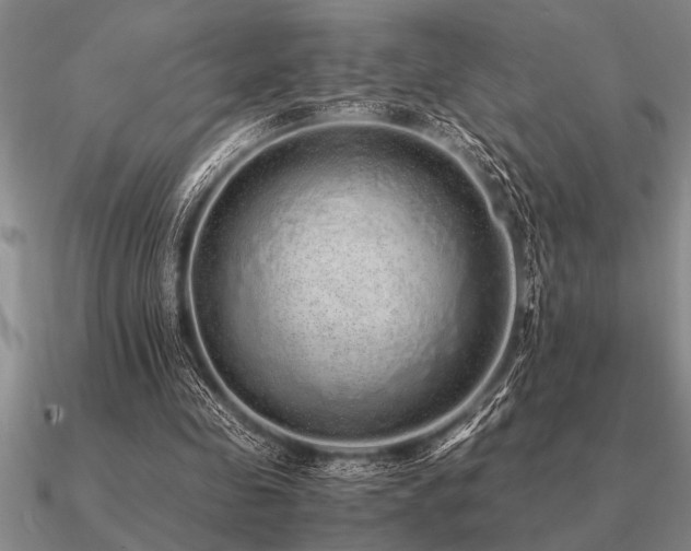 X0000091100341200708061424