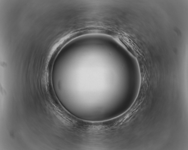 X0000091100342200708061424