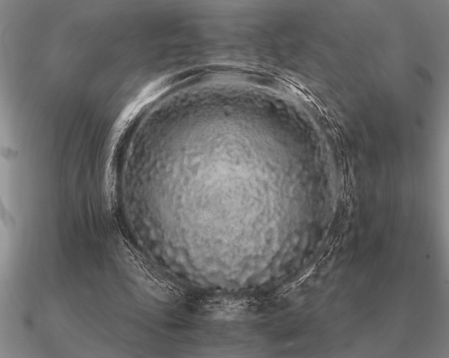 X0000091100343200708061424