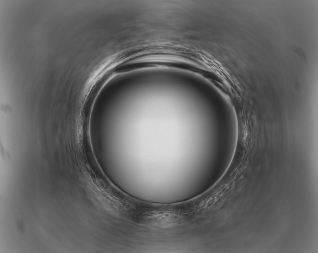 X0000091100344200708061424