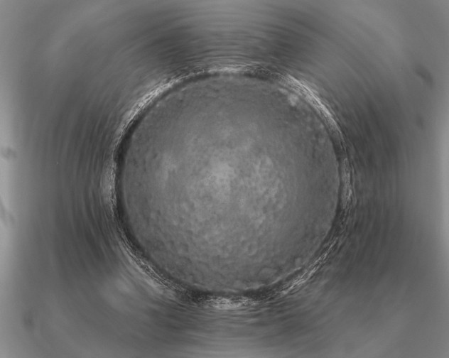 X0000091100346200708061424