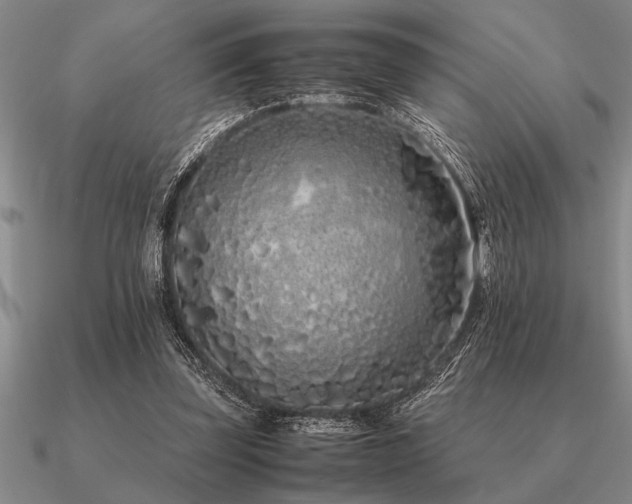 X0000091100347200708061424