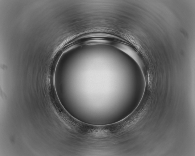 X0000091100348200708061424